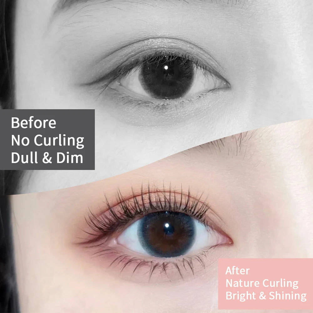 Sbf8c97843f3146fdbe9027cd12eb11d1G